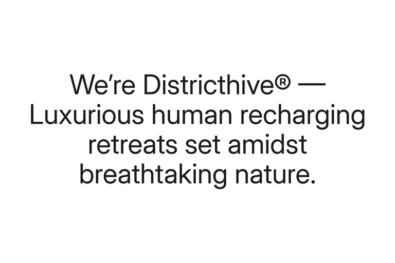 district hive type